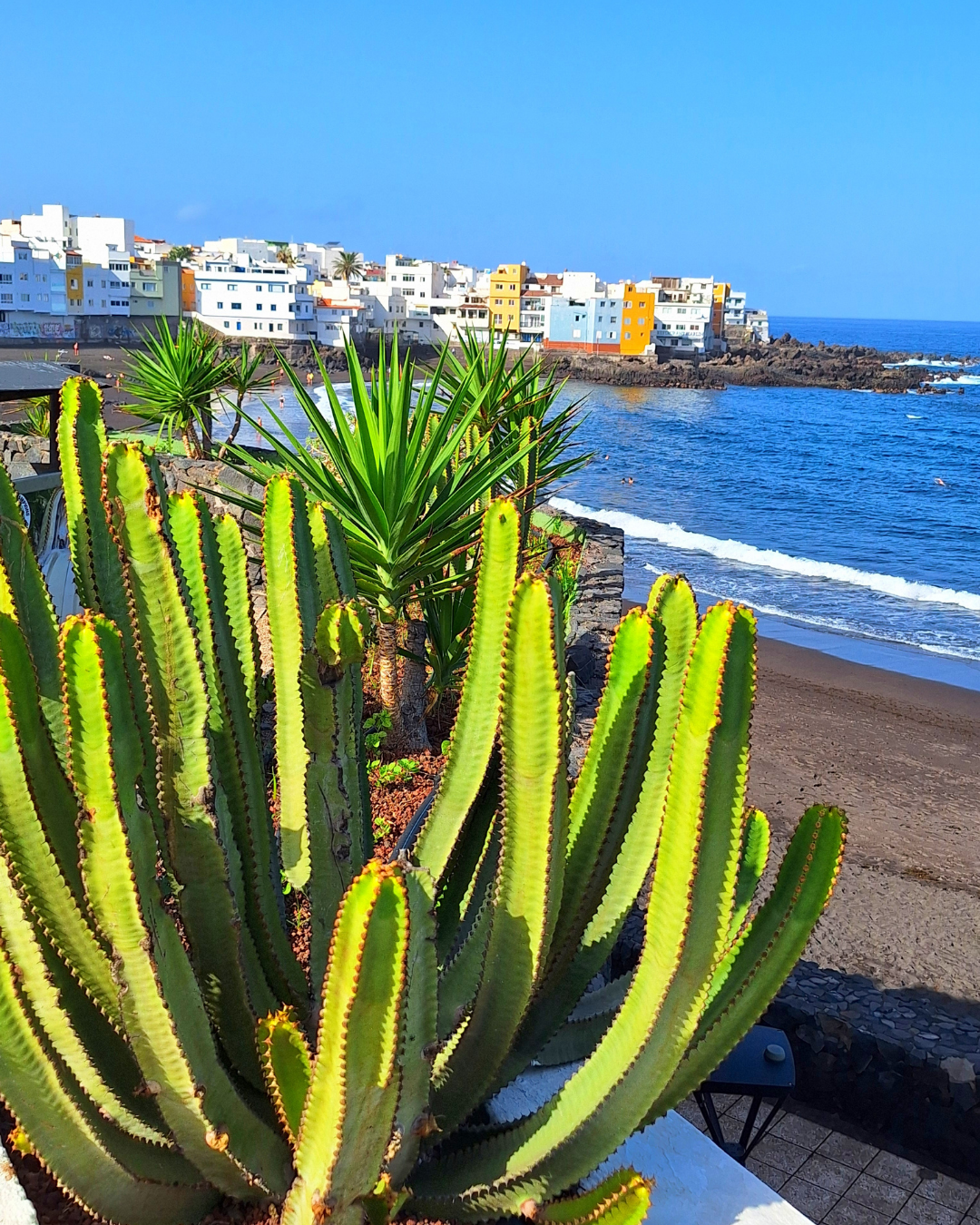 Exotická příroda Tenerife a oceán