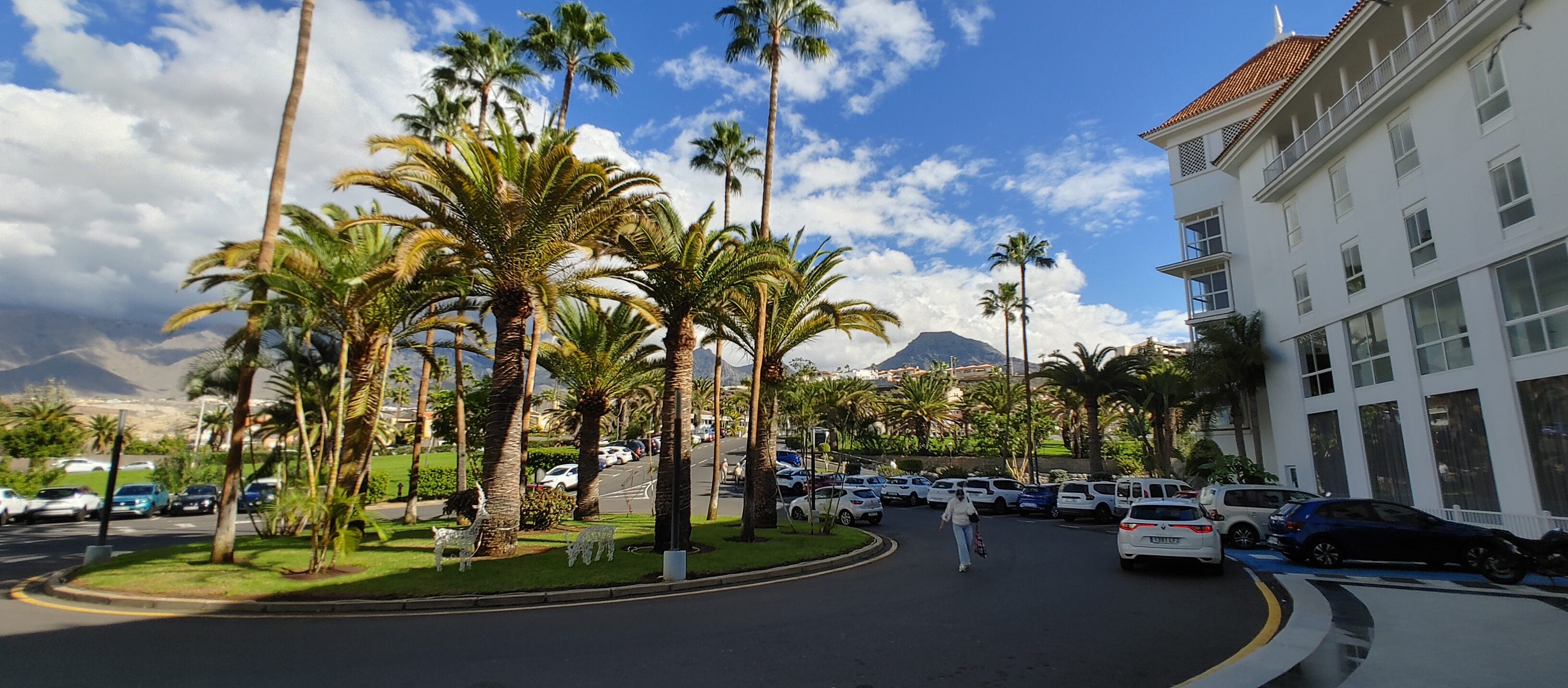 Tenerife palmy hotel